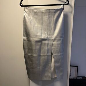 Silver skirt